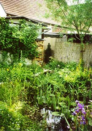 naturnaher Garten mit Tümpel