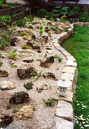 Xerothermes Steingartenbeet mit Sand gemulcht (Brutsttte fr Wildbienen)