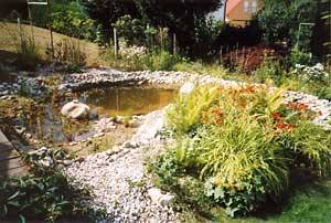 Teich - kurz nach Fertigstellung