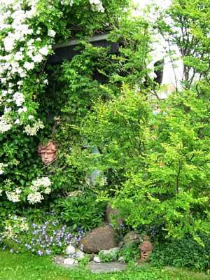 Terrakotta-Gesicht an der Geräteschuppenwand wird von Pflanzen umrankt